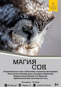 Афиша Глазова — Интерактивная экскурсия по выставке «Магия сов»