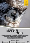 Выставка «Магия сов»