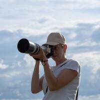Афиша Глазова — Семейная ФотоСуббота «ДондыДор.jpeg»