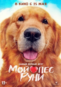 Афиша Глазова — Мой пёс Руни